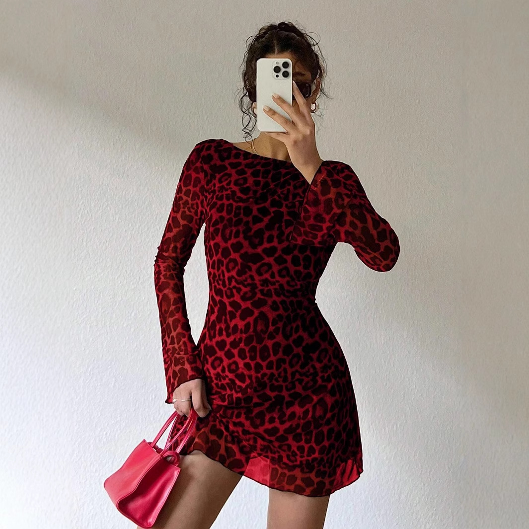 Casava Long Sleeve Leopard Print Dress